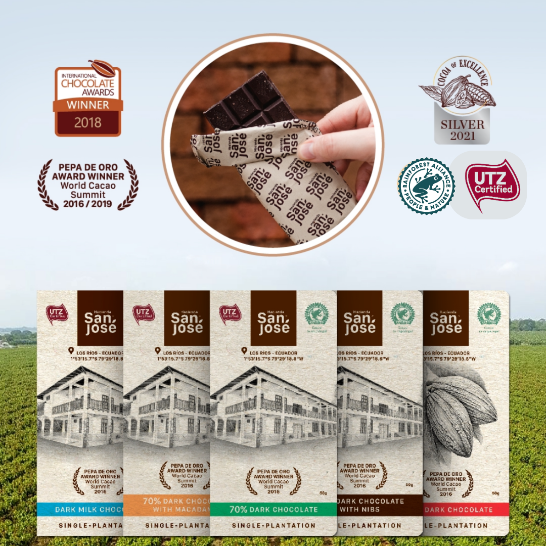 Assorted Chocolate Bars Gift Box