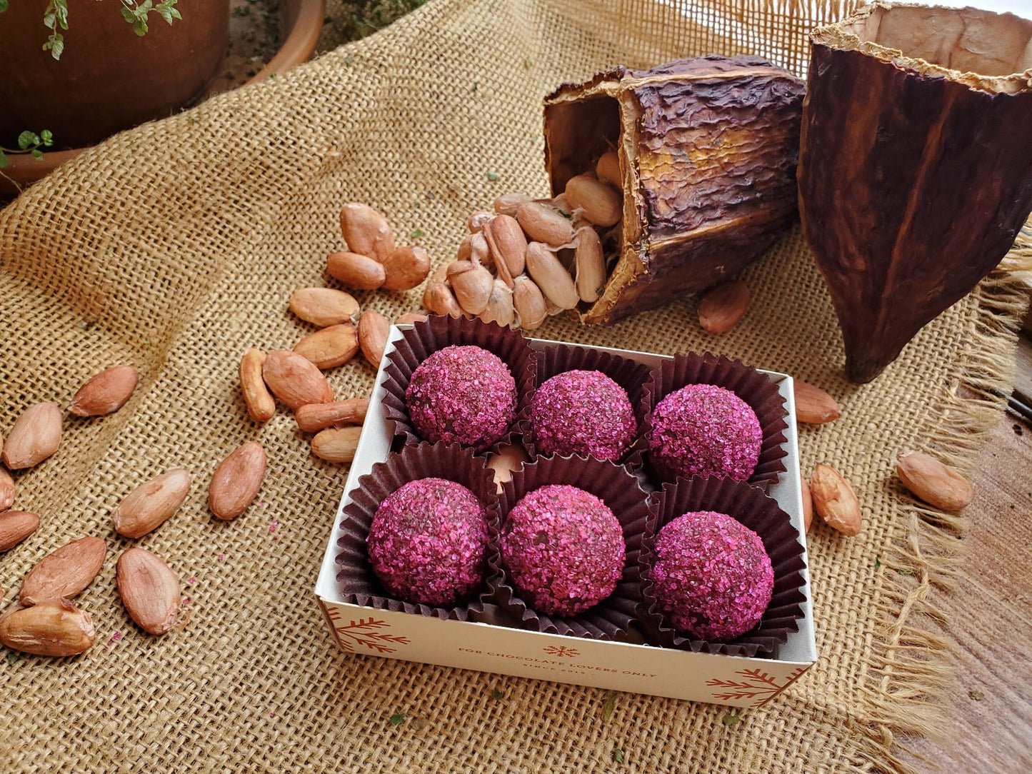 chili truffles