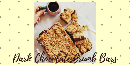 Dark Chocolate Crumb Bars