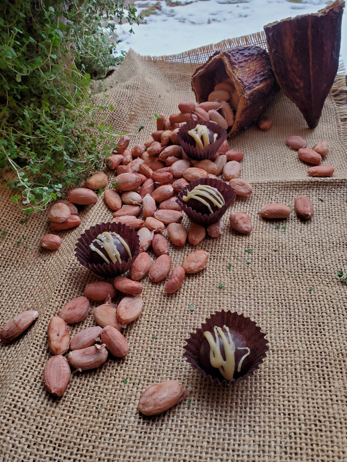 caramel truffles